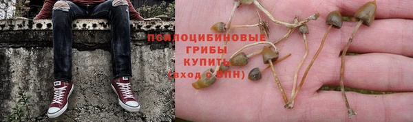 прущая мука Корсаков