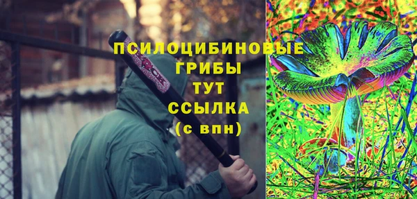 Альфа ПВП Коряжма