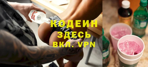 прущая мука Корсаков