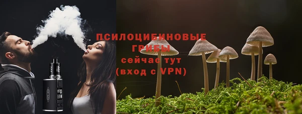 прущая мука Корсаков