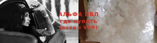 прущая мука Корсаков