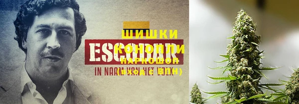 Альфа ПВП Коряжма